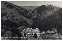 Wopfing, Siemens-Erhlungsheim