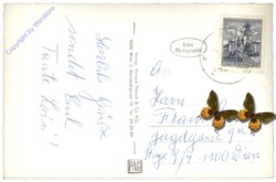 Wopfing, Siemens-Erhlungsheim