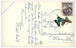 Ybbs, Persenbeug, Schloss und Ortsansicht