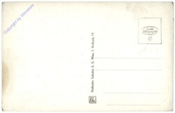 Wien 13, Schönbrunn, Neptunbrunnen und Gloriette