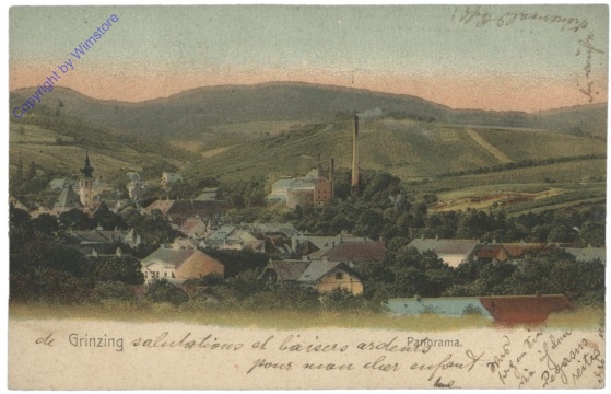 Wien 19, Grinzing, Panorama