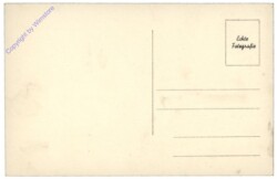 Wien 19, Große Donau mit Kahlenberg und Leopoldsberg