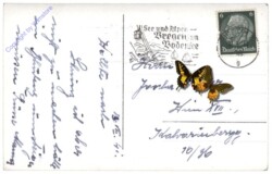 Bregenz, Gebhardsberg