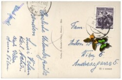 Rätikon, Zimba, Nordostwand