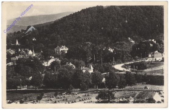 Bad Sauerbrunn, Ortsansicht