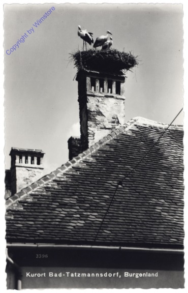 Bad Tatzmannsdorf, Störche