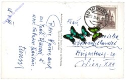 Bad Tatzmannsdorf, Sonderheilanstalt der Pens. Vers. Anst. der Angestellten