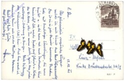 Bad Tatzmannsdorf, Ansicht