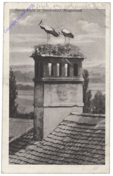 ak117214 Jennersdorf, Storch Idylle