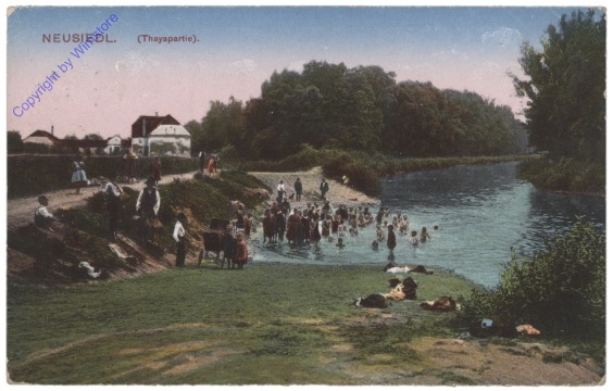 Neusiedl am See, Thayapartie