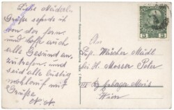 Neusiedl am See, Thayapartie