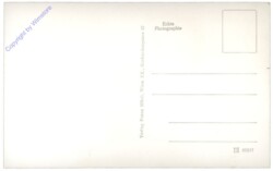 Neusiedlersee, Störche