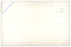 Rust, Neusiedler-See