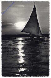 Rust, Neusiedler-See