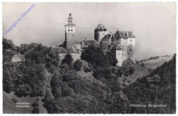 Stadtschlaining, Burg