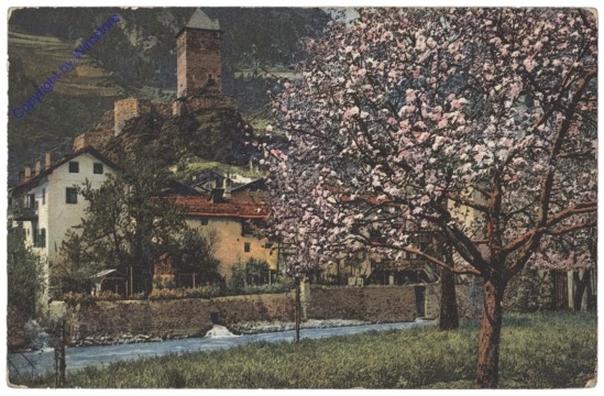 Obstblüte in Tirol