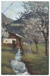 Obstblüte in Tirol