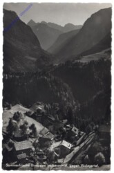 Birnbaum, gegen Wolayertal