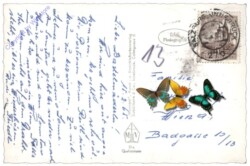 Brixen, gegen hohe Salve