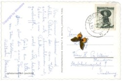 Hochgallmig, mit Parseiergruppe