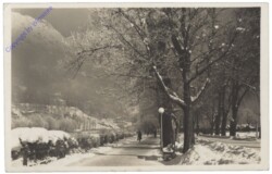 Innsbruck, Ferdinandsallee