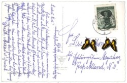 Neustift, Kartnallhöfe