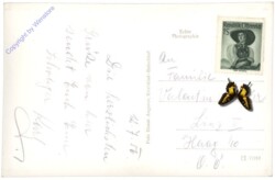 Kitzbühel, mit Hahnenkamm