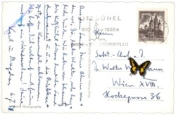 Kitzbühel, mit Kitzbüheler Horn