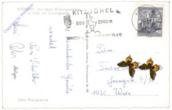 Kitzbühel, mit Kaisergebirge