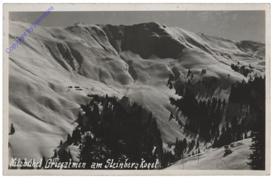 Kitzbühel, Griesalmen am Steinbergkogel