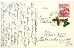 Mayrhofen, gegen Ahornspitze