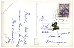 Mieming, Mieminger Plateau, Schl. Klamm m. Mieminger Kette