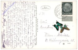 Neustift, Ortsansicht