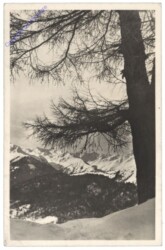 Matrei, Steineralpe gegen die Venedigergruppe