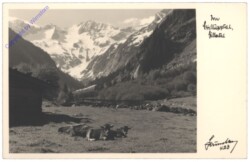 Mayrhofen, Im Stilluptal