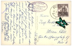 Mayrhofen, Alm in der Stillup