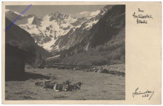 Mayrhofen, Im Stilluptal