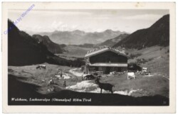 Walchsee, Lackneralpe (Ottenalpe)