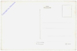 Illmitz, Multiansicht