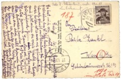 Kaisersteinbruch, Multiansicht