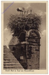 Rust, Storch-Nest