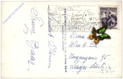 Rust, Störche der Freistadt