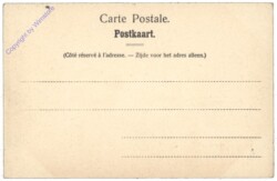 Antwerpen, Anvers, Jardin zoologique, Les Cigognes