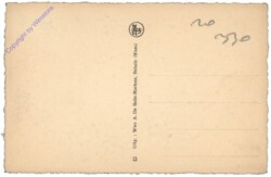 Belsele (Waas), Antwerpse steenweg