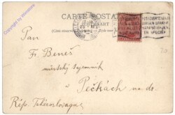 Braine-l'Alleud, Hotel du  Musée, Le Lion