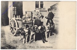 ak119244 Brügge, Bruges, Une Laitiére flamande