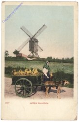 ak119345 Brüssel, Bruxelles, Laitiére bruxelloise
