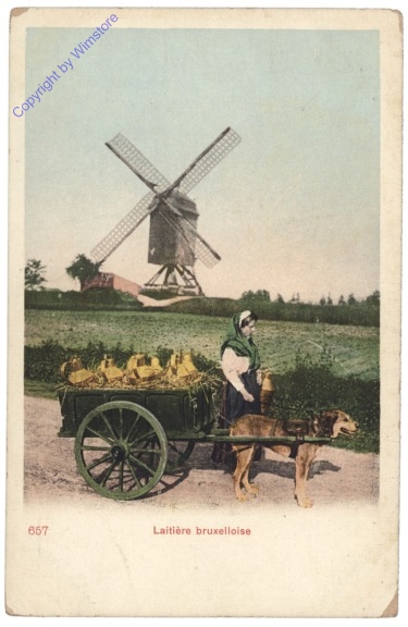 ak119345 Brüssel, Bruxelles, Laitiére bruxelloise