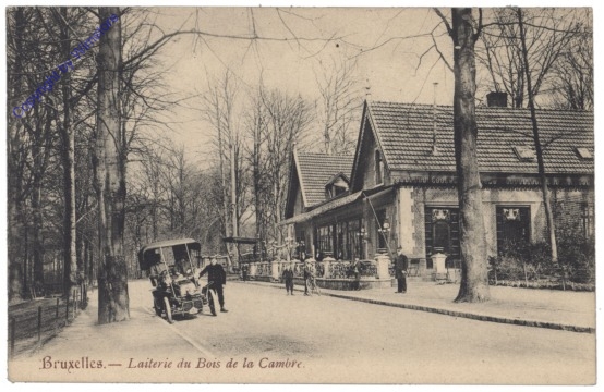 ak119349 Brüssel, Bruxelles, Laiterie du Bois de la Cambre