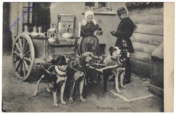 Brüssel, Bruxelles, Laitiére